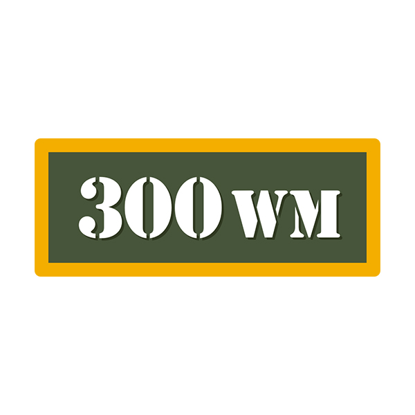 300 WM Ammo Can Vinyl Label Sticker Box Case Decal V4 Rotten Remains