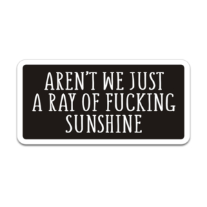 Aren’t We Just a Ray of Fucking Sunshine Helmet Hardhat Sticker Decal Funny Rotten Remains