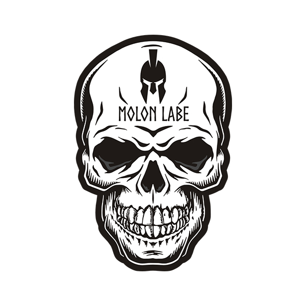 Molon Labe Skull Guns Come and Take Them Gun Sticker Decal V4 Rotten Remains
