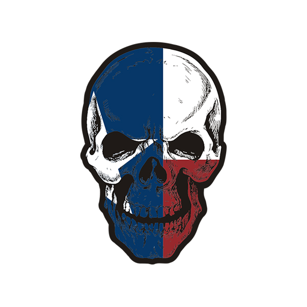 Houston Texans Skull Helmet Sticker