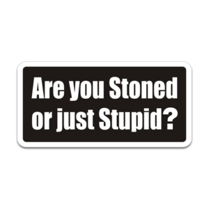 Are You Stoned or Just Stupid Helmet Hardhat Sticker Decal Funny Rotten Remains