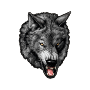 Wolf Snarling Sticker Decal - Rotten Remains
